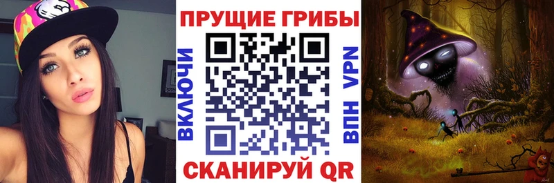 blacksprut ССЫЛКА  Чёрмоз  Псилоцибиновые грибы мицелий 